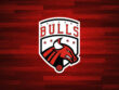Chicago Bulls ticket exchange